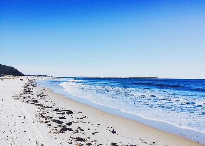 Beach 441