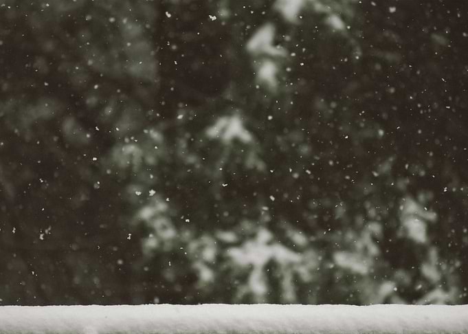 Snow 144