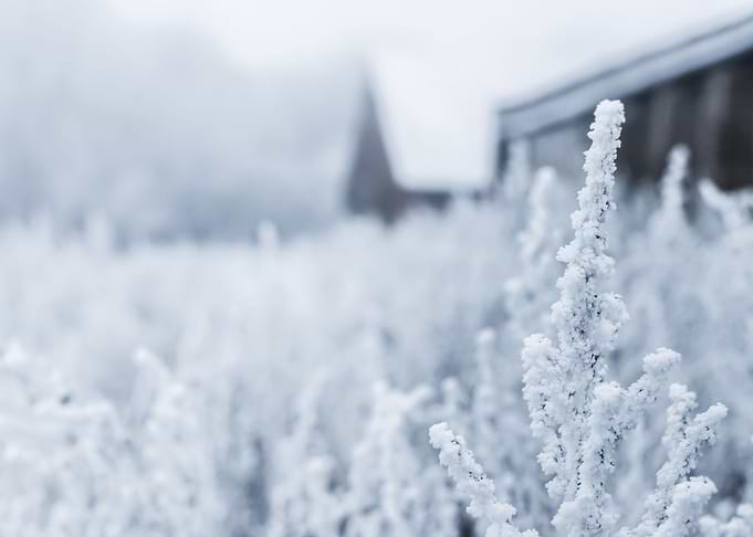 Snow 133