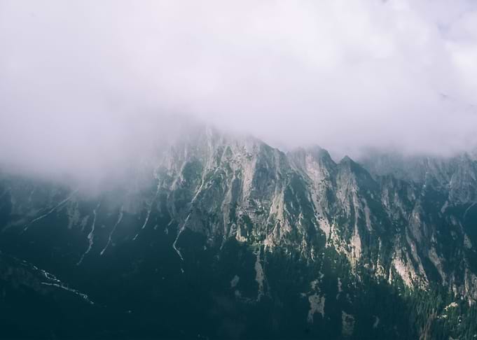 Landscape 230