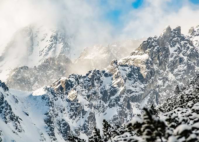 Snow 196