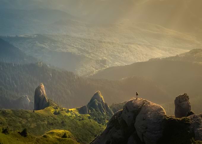 Landscape 55