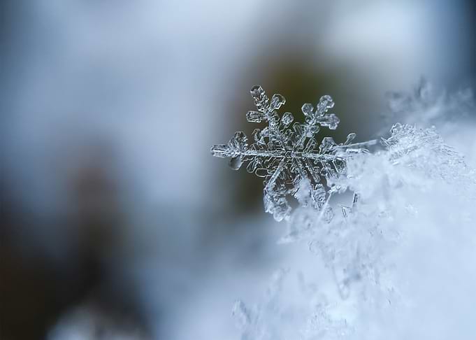 Snow 17