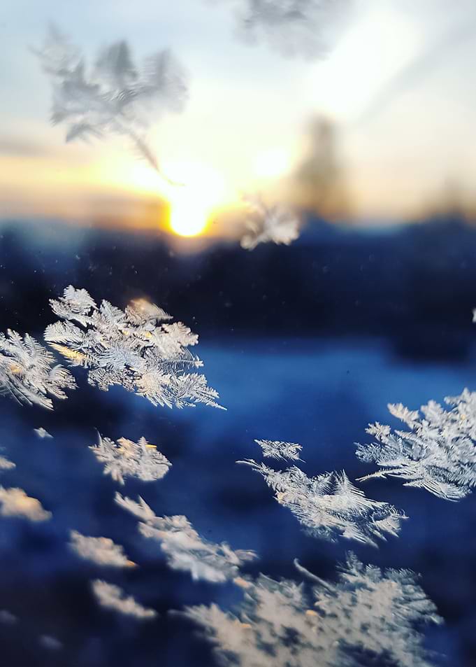 Snow 159