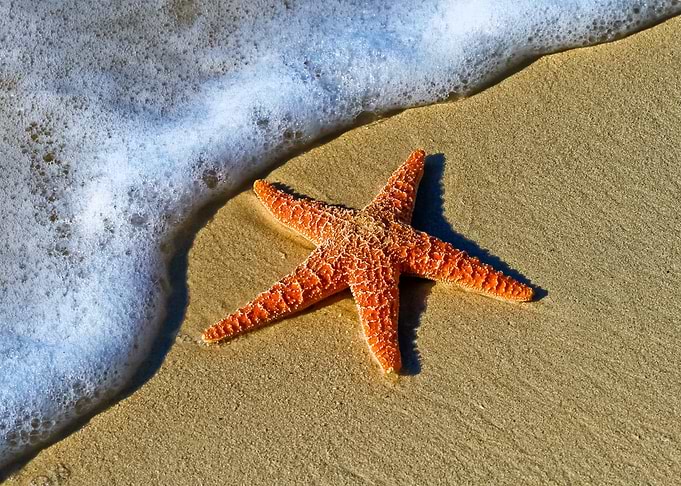 Beach 169