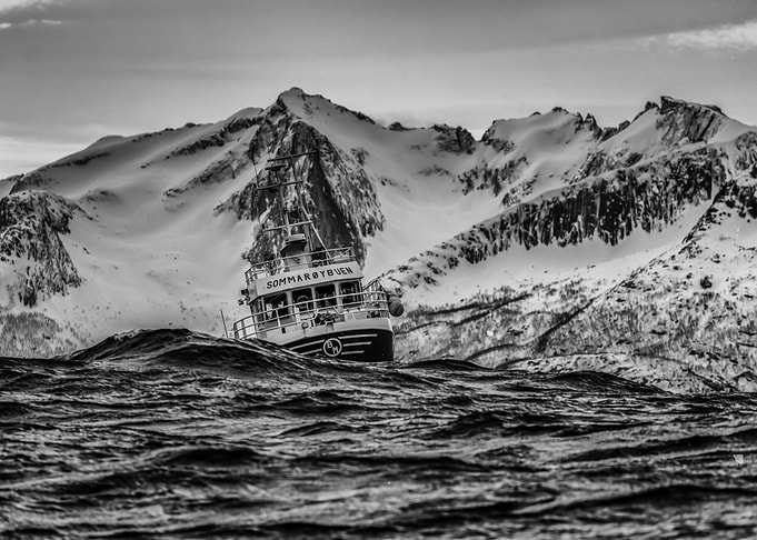 Mountain 309