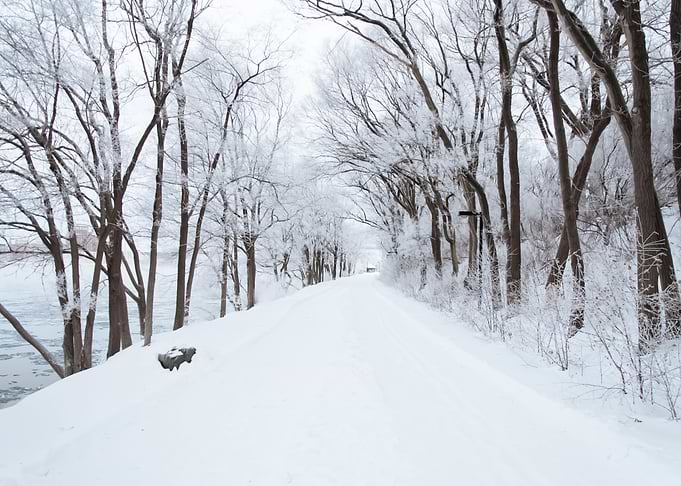 Snow 191