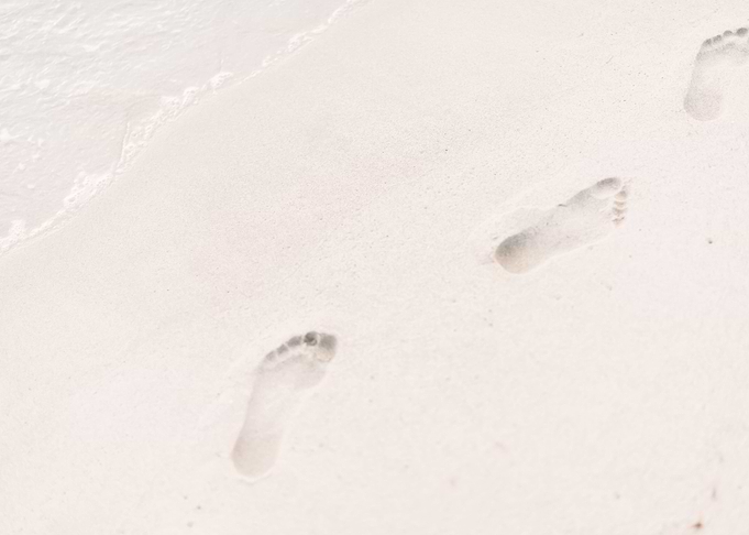 Beach 547