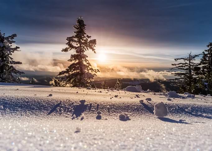 Snow 55