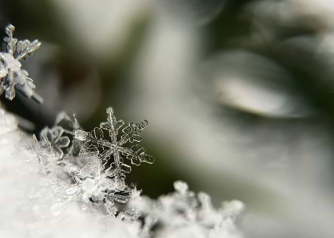 Snow 31