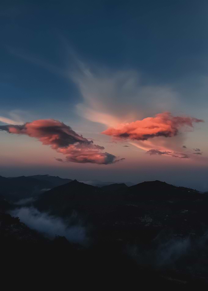 Landscape 204