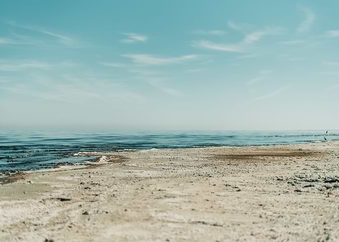 Beach 263