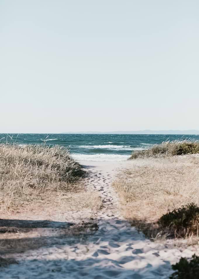 Beach 316