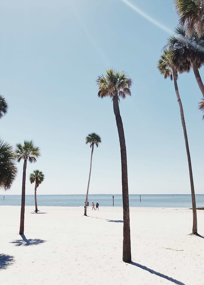 Beach 590
