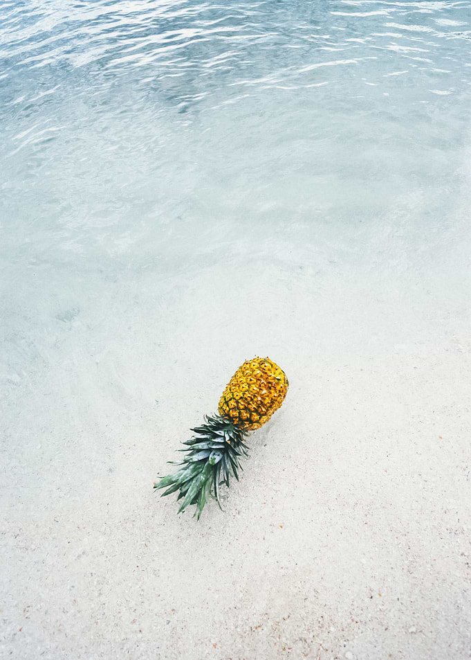Beach 110
