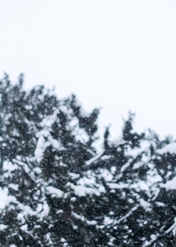 Snow 178