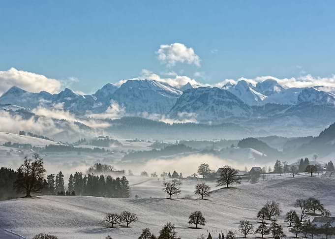 Landscape 209