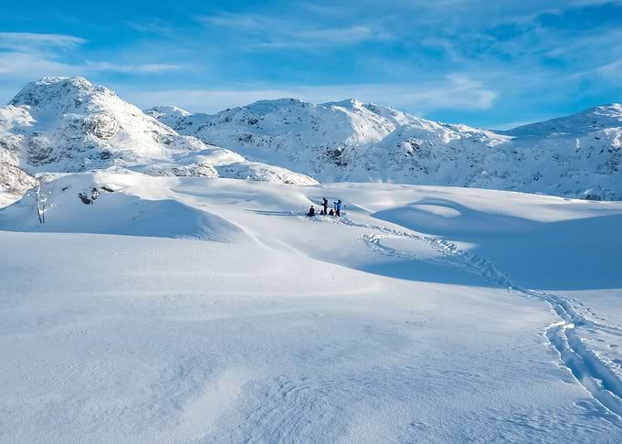 Snow 148