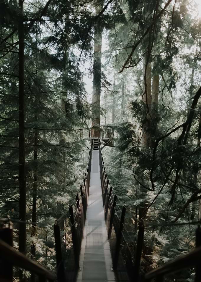 Bridge 41