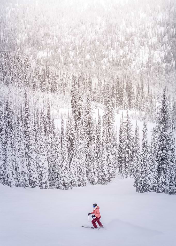 Snow 8