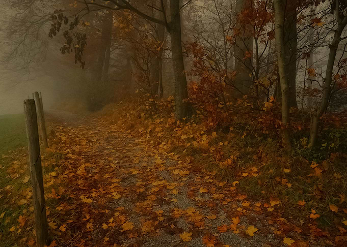 Landscape 110