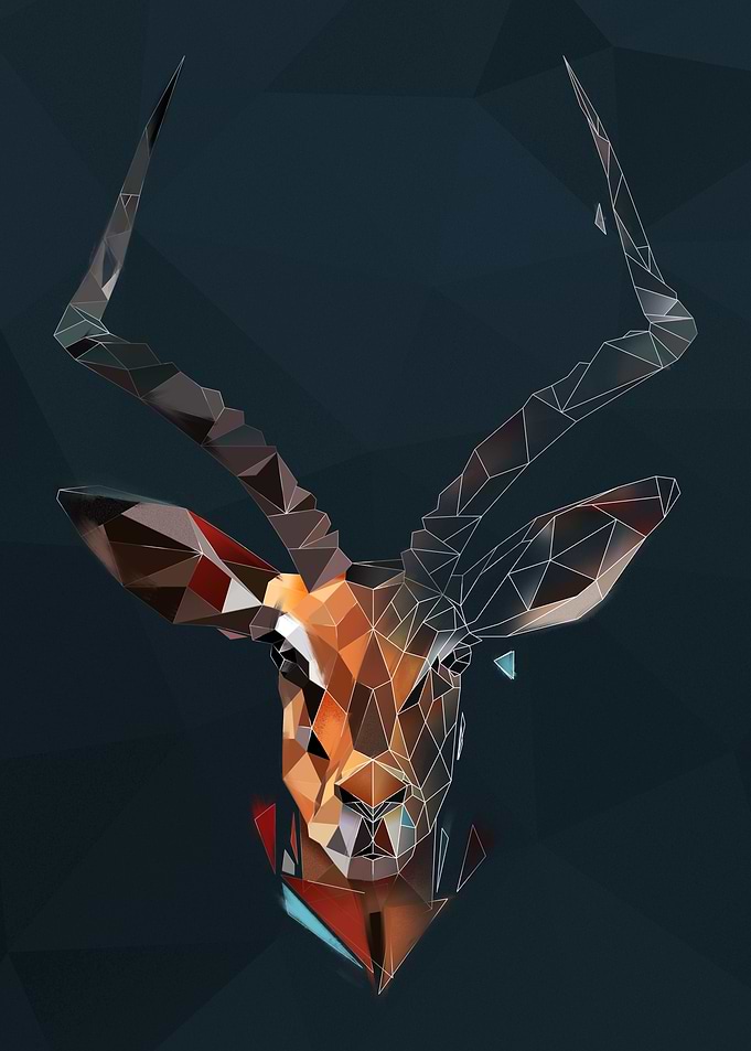 Wild Antelope
