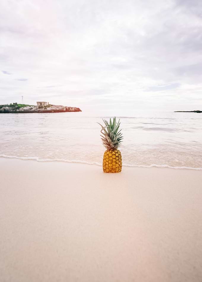 Beach 101