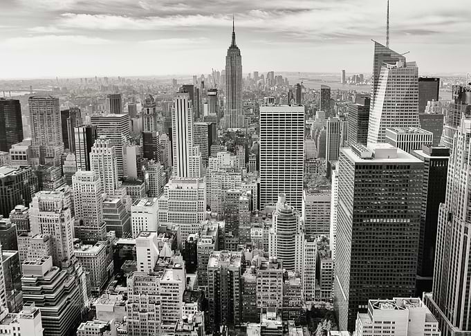 City 325