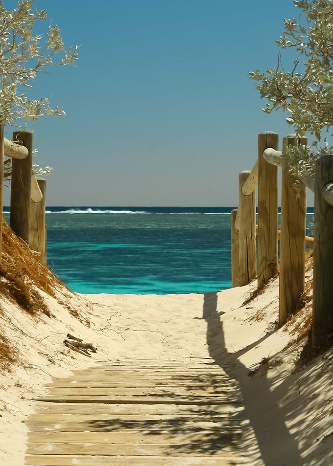 Beach 96