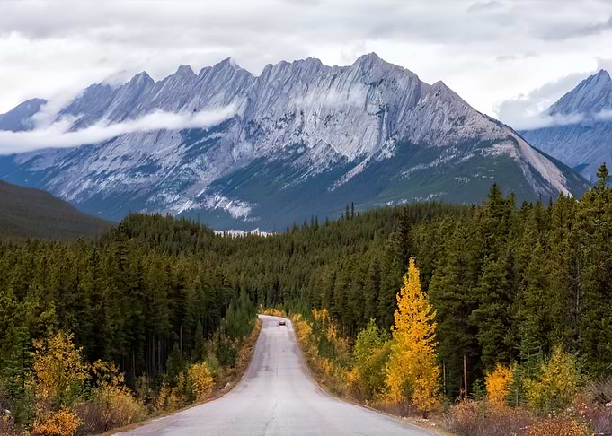 Mountain 203