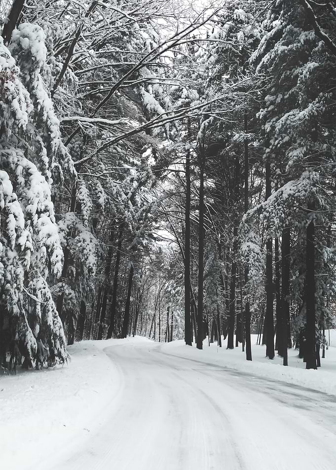 Snow 93
