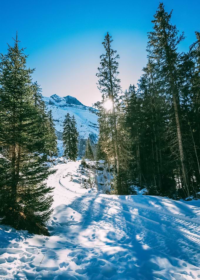 Snow 125