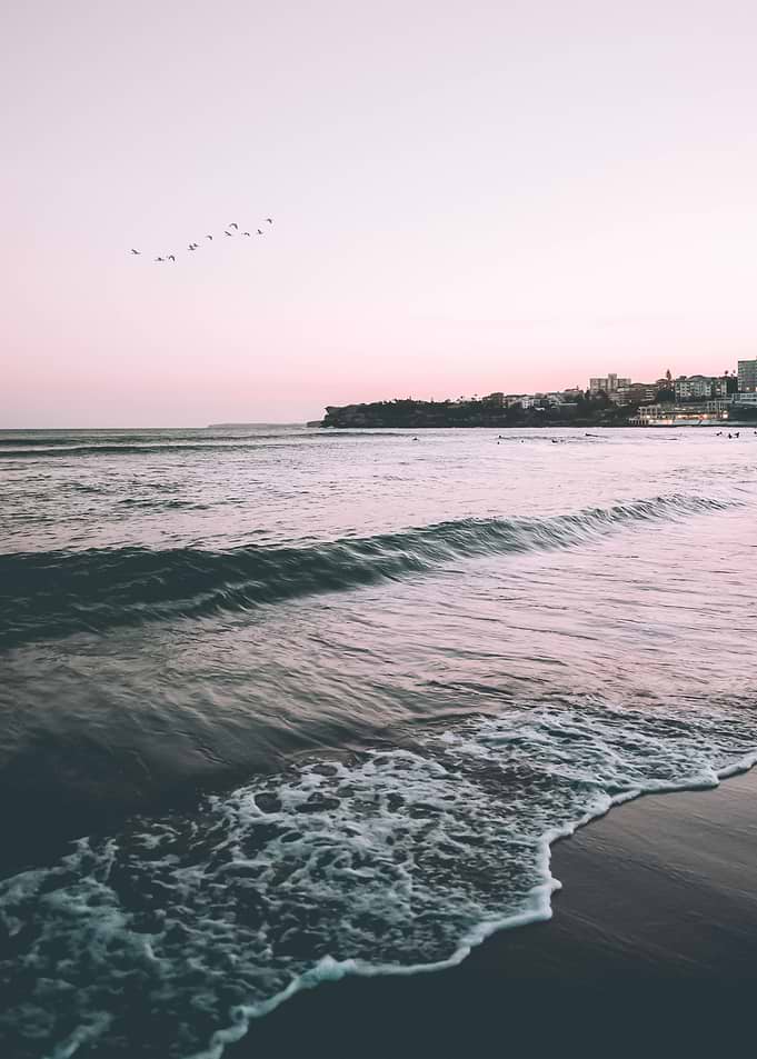 Beach 32