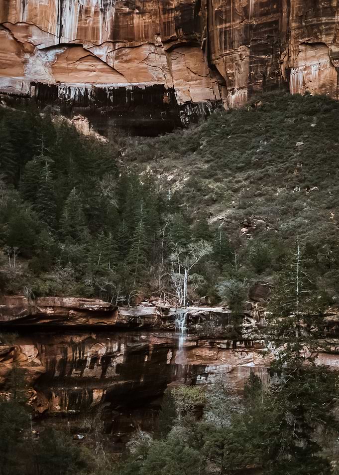 Landscape 100