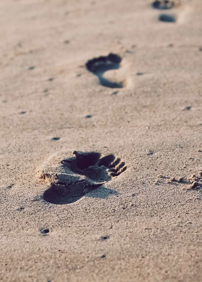 Beach 309