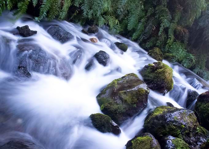 Water Landscape 18