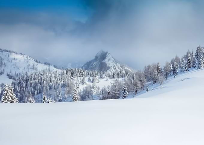 Landscape 68