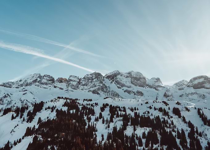 Landscape 118