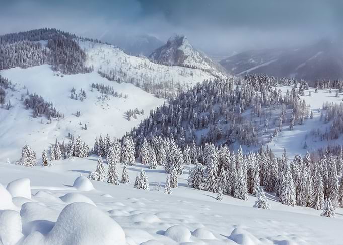 Snow 126