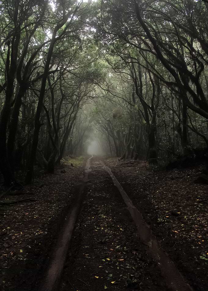 Road 57