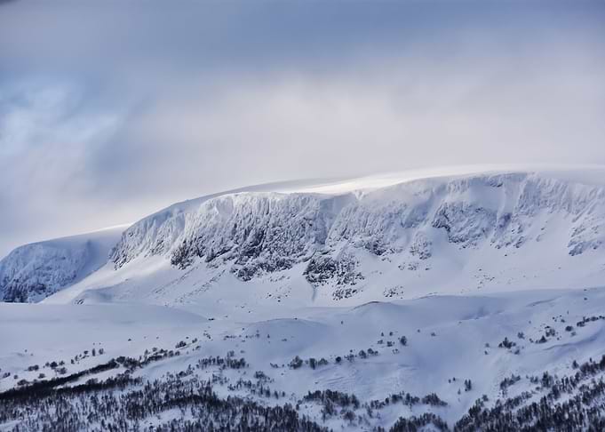 Snow 121