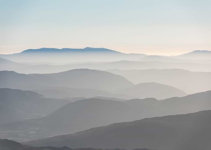 Landscape 242