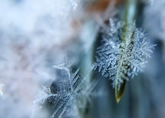 Snow 171