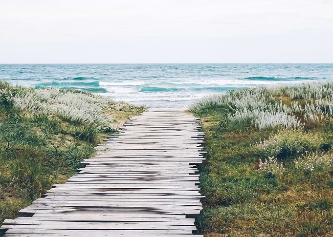Beach 383