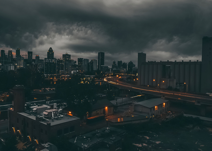 City 81