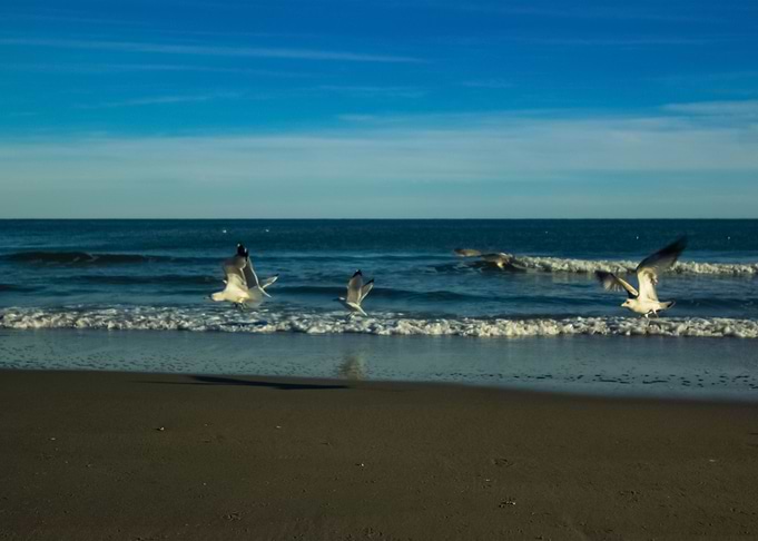 Beach 447