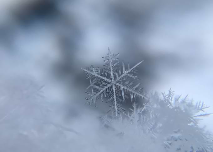 Snow 6