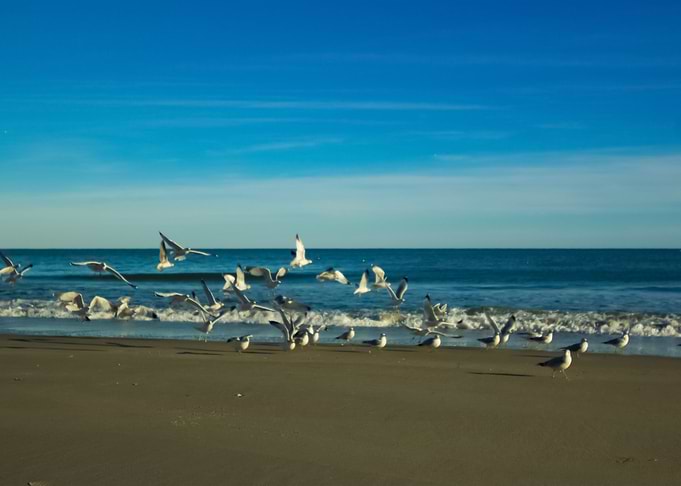 Beach 286