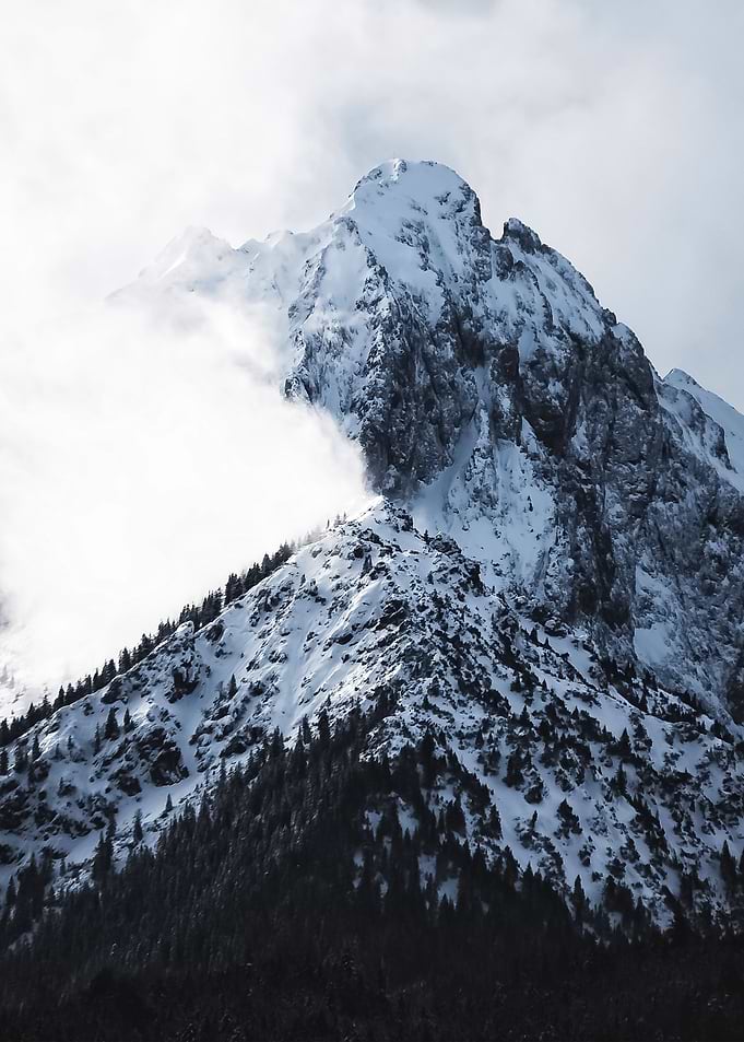 Snow 19