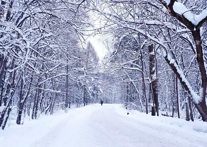 Snow 3